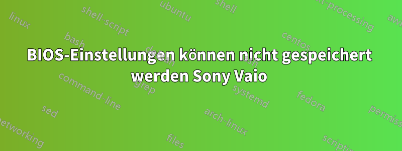 BIOS-Einstellungen können nicht gespeichert werden Sony Vaio