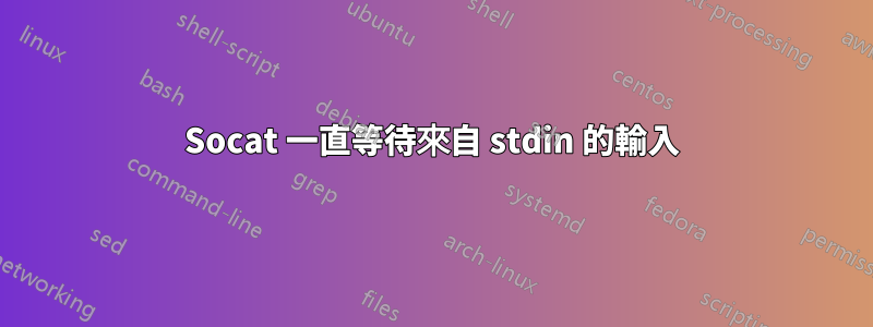 Socat 一直等待來自 stdin 的輸入