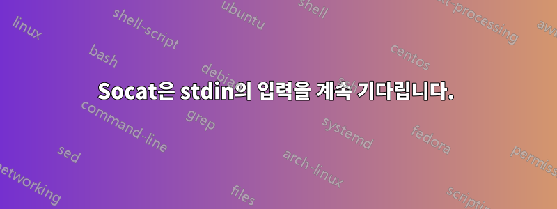 Socat은 stdin의 입력을 계속 기다립니다.