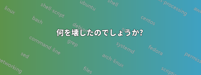 何を壊したのでしょうか?