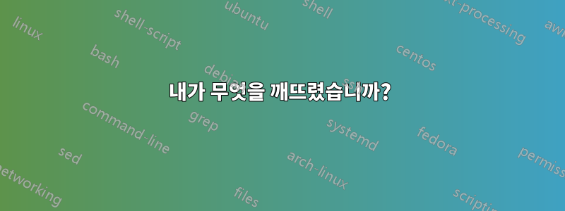 내가 무엇을 깨뜨렸습니까?