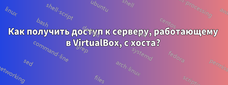 Как получить доступ к серверу, работающему в VirtualBox, с хоста?