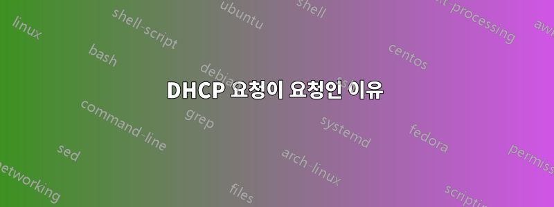 DHCP 요청이 요청인 이유