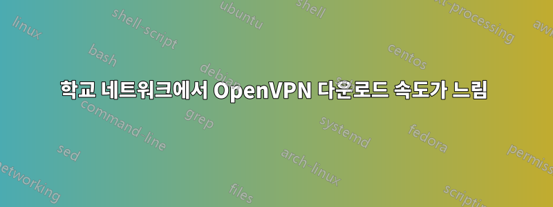 학교 네트워크에서 OpenVPN 다운로드 속도가 느림