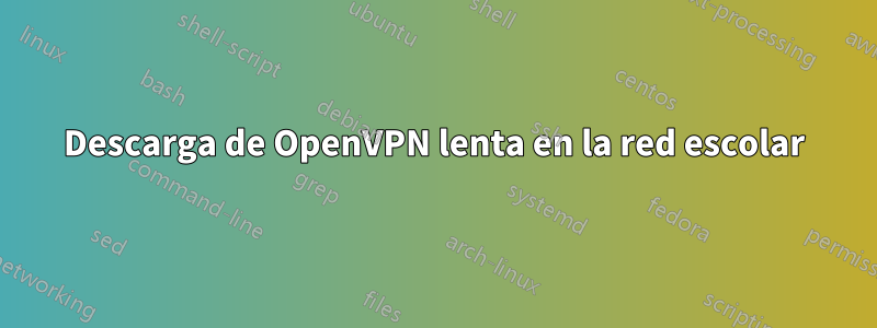 Descarga de OpenVPN lenta en la red escolar