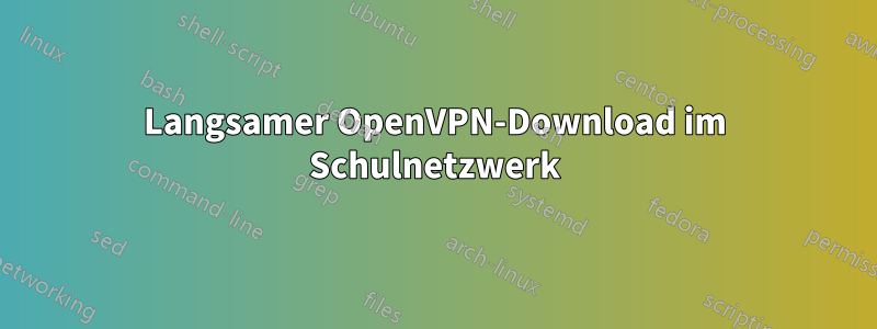 Langsamer OpenVPN-Download im Schulnetzwerk