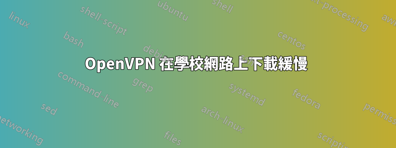 OpenVPN 在學校網路上下載緩慢