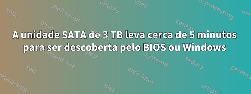 A unidade SATA de 3 TB leva cerca de 5 minutos para ser descoberta pelo BIOS ou Windows