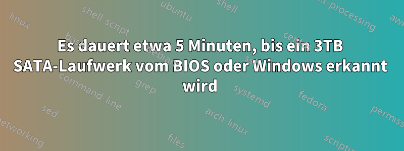 Es dauert etwa 5 Minuten, bis ein 3TB SATA-Laufwerk vom BIOS oder Windows erkannt wird