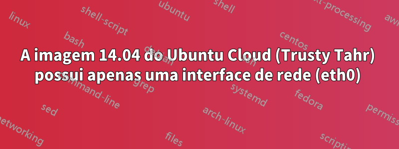 A imagem 14.04 do Ubuntu Cloud (Trusty Tahr) possui apenas uma interface de rede (eth0)