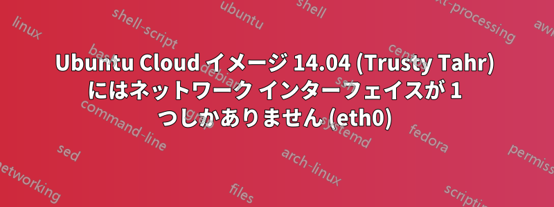 Ubuntu Cloud イメージ 14.04 (Trusty Tahr) にはネットワーク インターフェイスが 1 つしかありません (eth0)