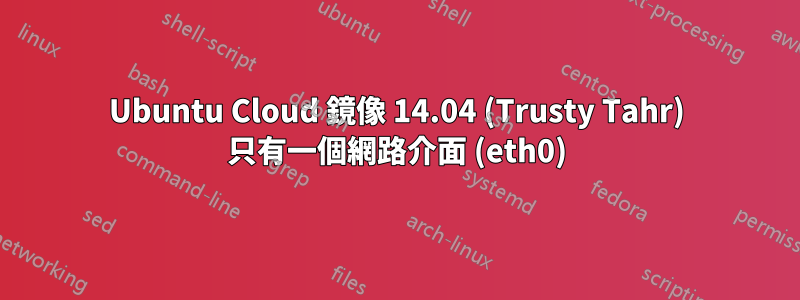 Ubuntu Cloud 鏡像 14.04 (Trusty Tahr) 只有一個網路介面 (eth0)