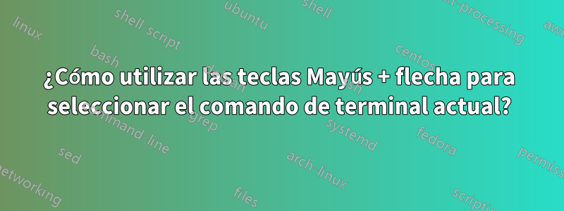 ¿Cómo utilizar las teclas Mayús + flecha para seleccionar el comando de terminal actual?