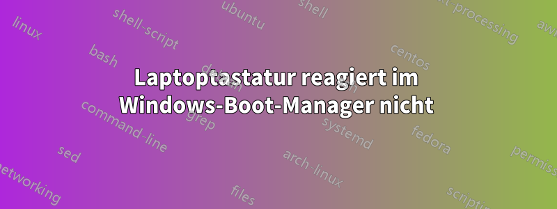 Laptoptastatur reagiert im Windows-Boot-Manager nicht