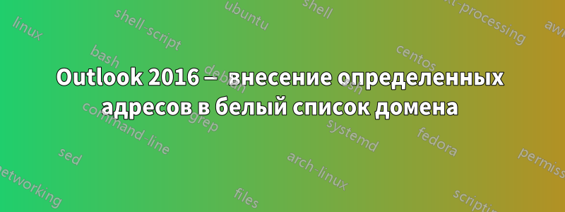 Outlook 2016 — внесение определенных адресов в белый список домена