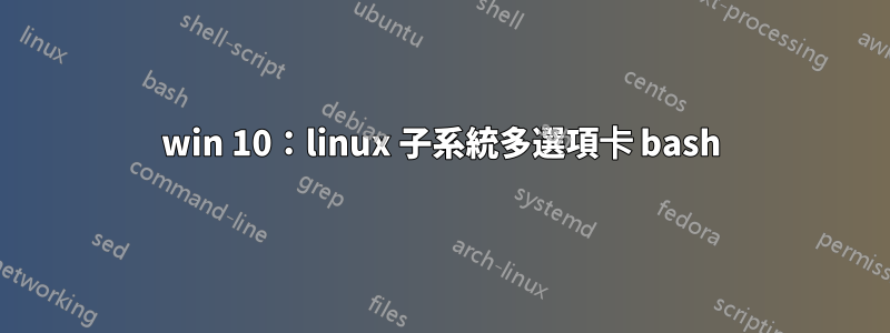 win 10：linux 子系統多選項卡 bash