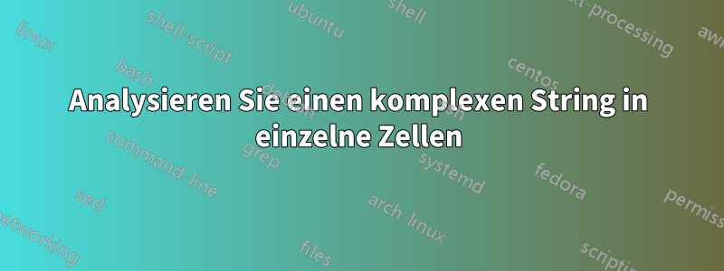 Analysieren Sie einen komplexen String in einzelne Zellen