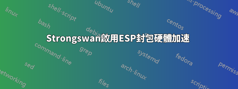 Strongswan啟用ESP封包硬體加速