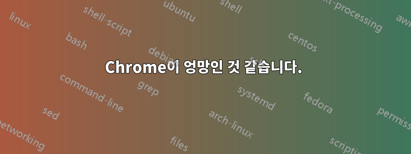 Chrome이 엉망인 것 같습니다.