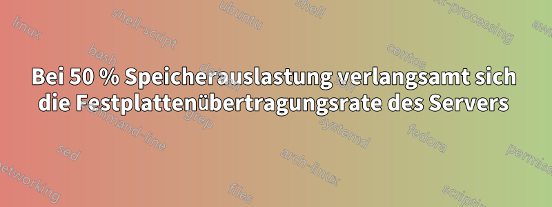 Bei 50 % Speicherauslastung verlangsamt sich die Festplattenübertragungsrate des Servers