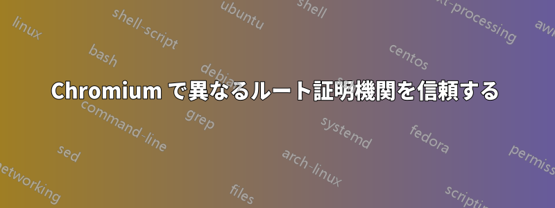 Chromium で異なるルート証明機関を信頼する