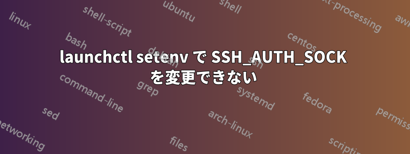 launchctl setenv で SSH_AUTH_SOCK を変更できない