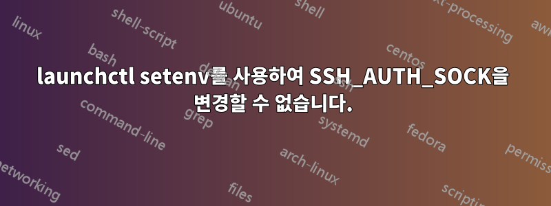 launchctl setenv를 사용하여 SSH_AUTH_SOCK을 변경할 수 없습니다.