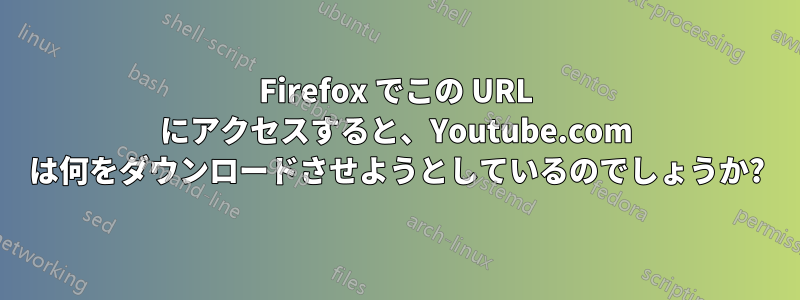 Firefox でこの URL にアクセスすると、Youtube.com は何をダウンロードさせようとしているのでしょうか?