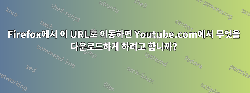 Firefox에서 이 URL로 이동하면 Youtube.com에서 무엇을 다운로드하게 하려고 합니까?