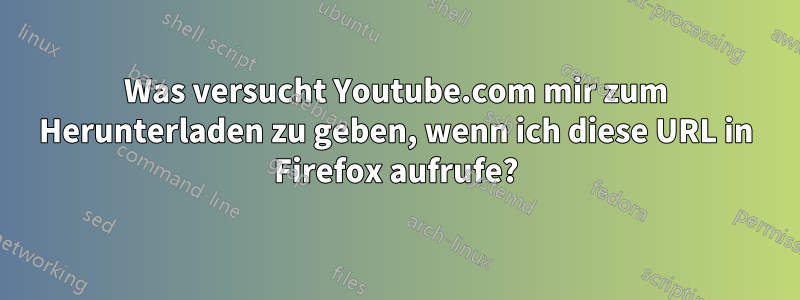 Was versucht Youtube.com mir zum Herunterladen zu geben, wenn ich diese URL in Firefox aufrufe?