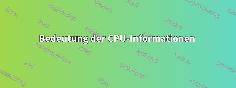 Bedeutung der CPU-Informationen