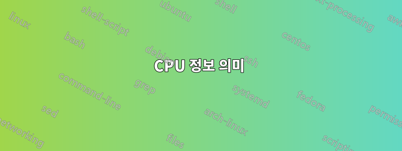 CPU 정보 의미