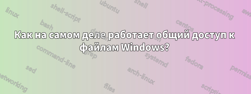 Как на самом деле работает общий доступ к файлам Windows?