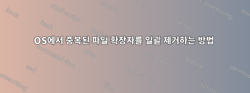 OS에서 중복된 파일 확장자를 일괄 제거하는 방법