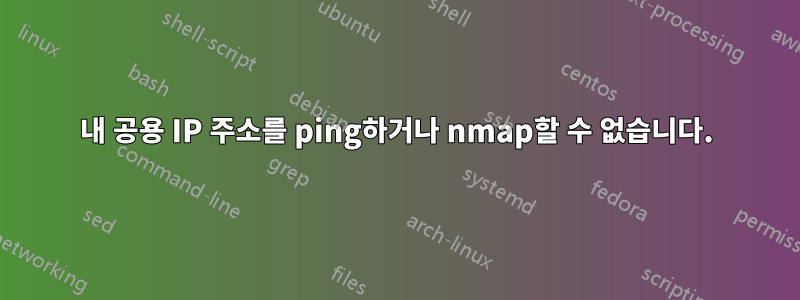 내 공용 IP 주소를 ping하거나 nmap할 수 없습니다.