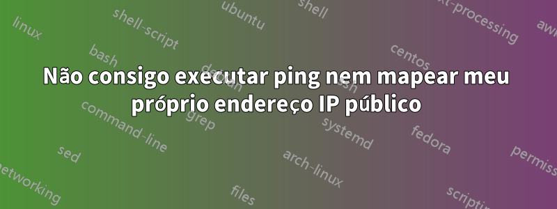 Não consigo executar ping nem mapear meu próprio endereço IP público