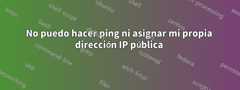 No puedo hacer ping ni asignar mi propia dirección IP pública