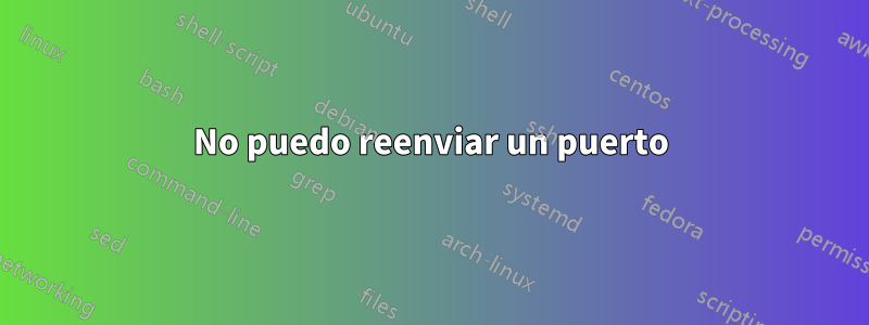 No puedo reenviar un puerto