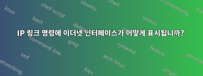 IP 링크 명령에 이더넷 인터페이스가 어떻게 표시됩니까?