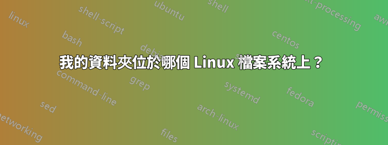 我的資料夾位於哪個 Linux 檔案系統上?