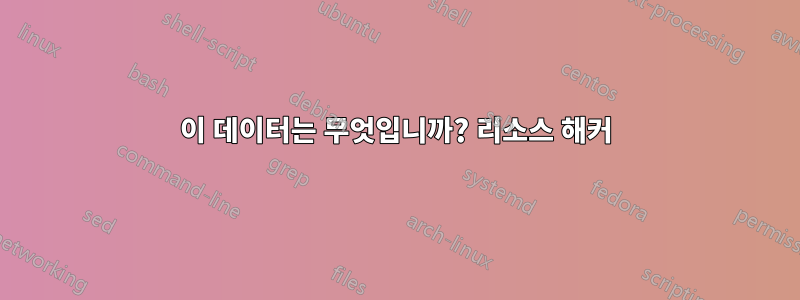 이 데이터는 무엇입니까? 리소스 해커