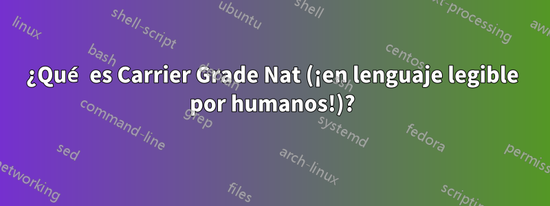 ¿Qué es Carrier Grade Nat (¡en lenguaje legible por humanos!)?