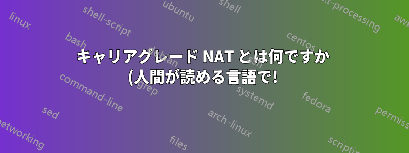 キャリアグレード NAT とは何ですか (人間が読める言語で!)?