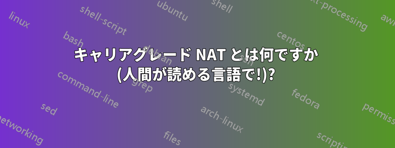 キャリアグレード NAT とは何ですか (人間が読める言語で!)?