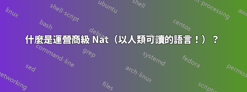什麼是運營商級 Nat（以人類可讀的語言！）？