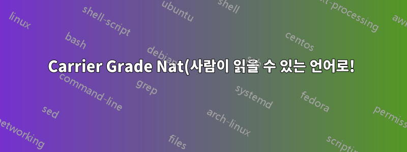 Carrier Grade Nat(사람이 읽을 수 있는 언어로!)이란 무엇입니까?
