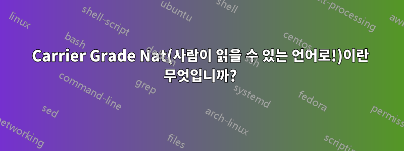Carrier Grade Nat(사람이 읽을 수 있는 언어로!)이란 무엇입니까?