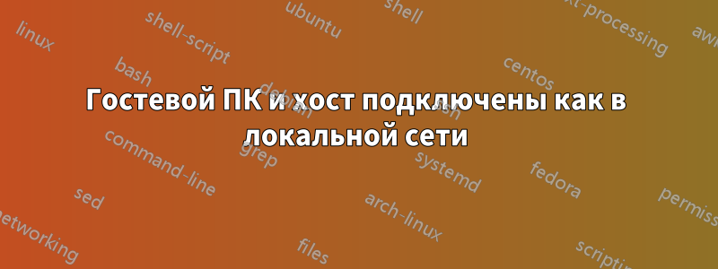 Гостевой ПК и хост подключены как в локальной сети