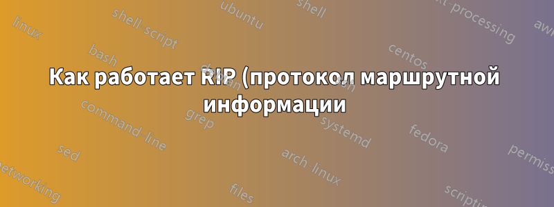 Как работает RIP (протокол маршрутной информации)?