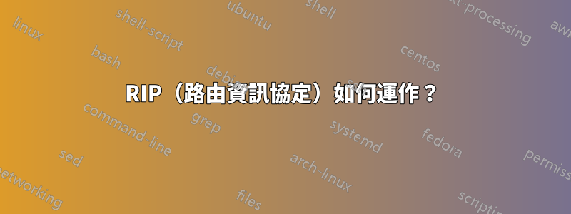RIP（路由資訊協定）如何運作？